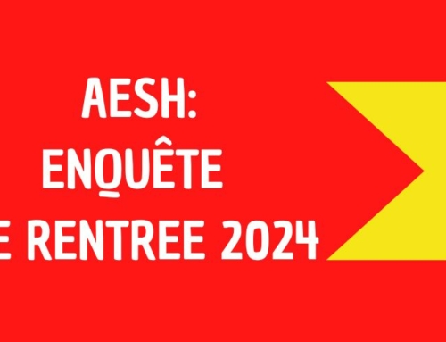 AESH : Enquête de rentrée